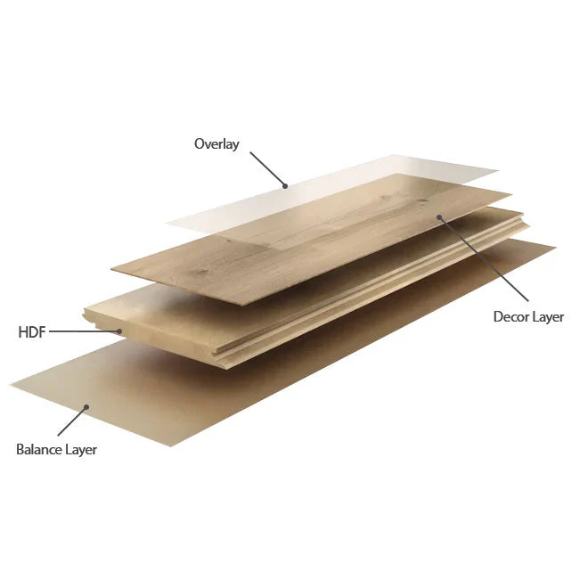 8mm Laminate AGT Flooring Elbruz - Image 4