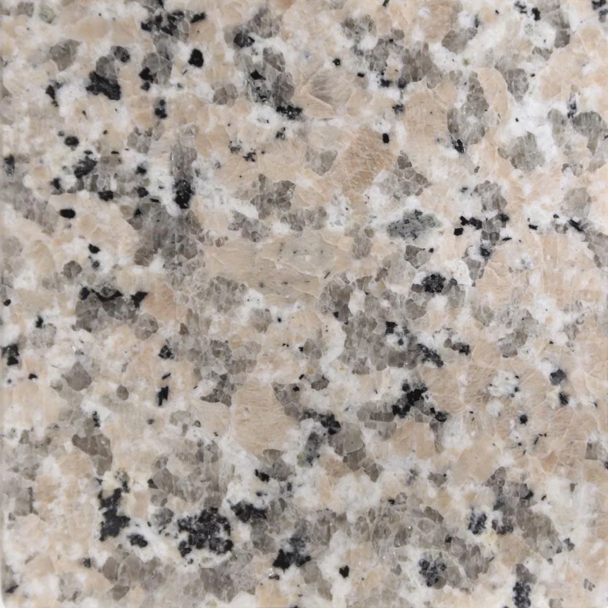 Burlywood 61x22 with Backsplash (8 in Spread) - Image 3